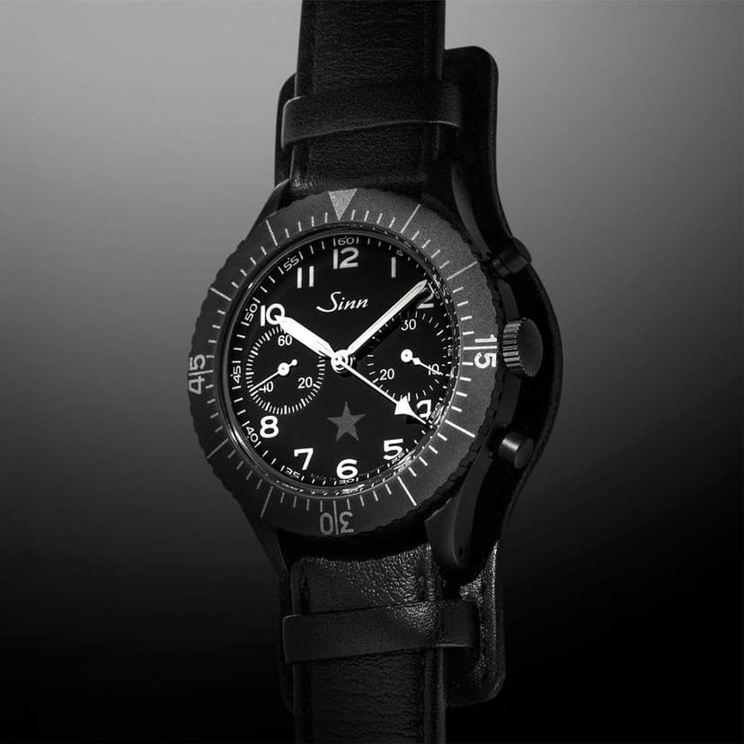 Sinn preview