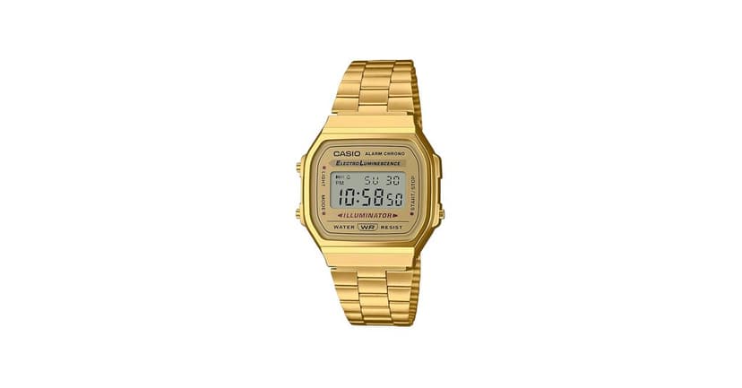 Casio preview