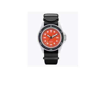 Prodiver Modello Uno ( 41.5mm )