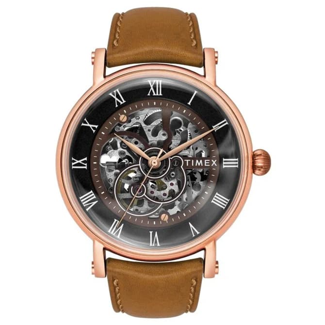 Timex preview