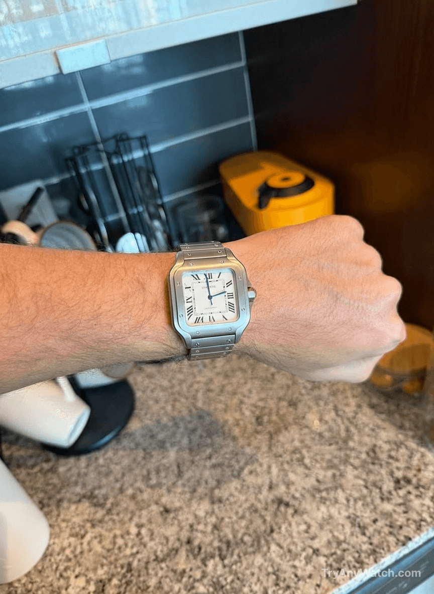 Cartier Santos de Cartier Titanium try-on result