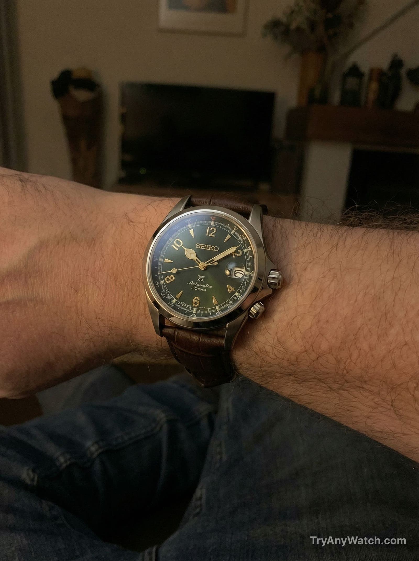 Seiko Prospex Alpinist try-on.