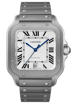 Cartier Santos de Cartier Titanium ( 39.8mm ) product image